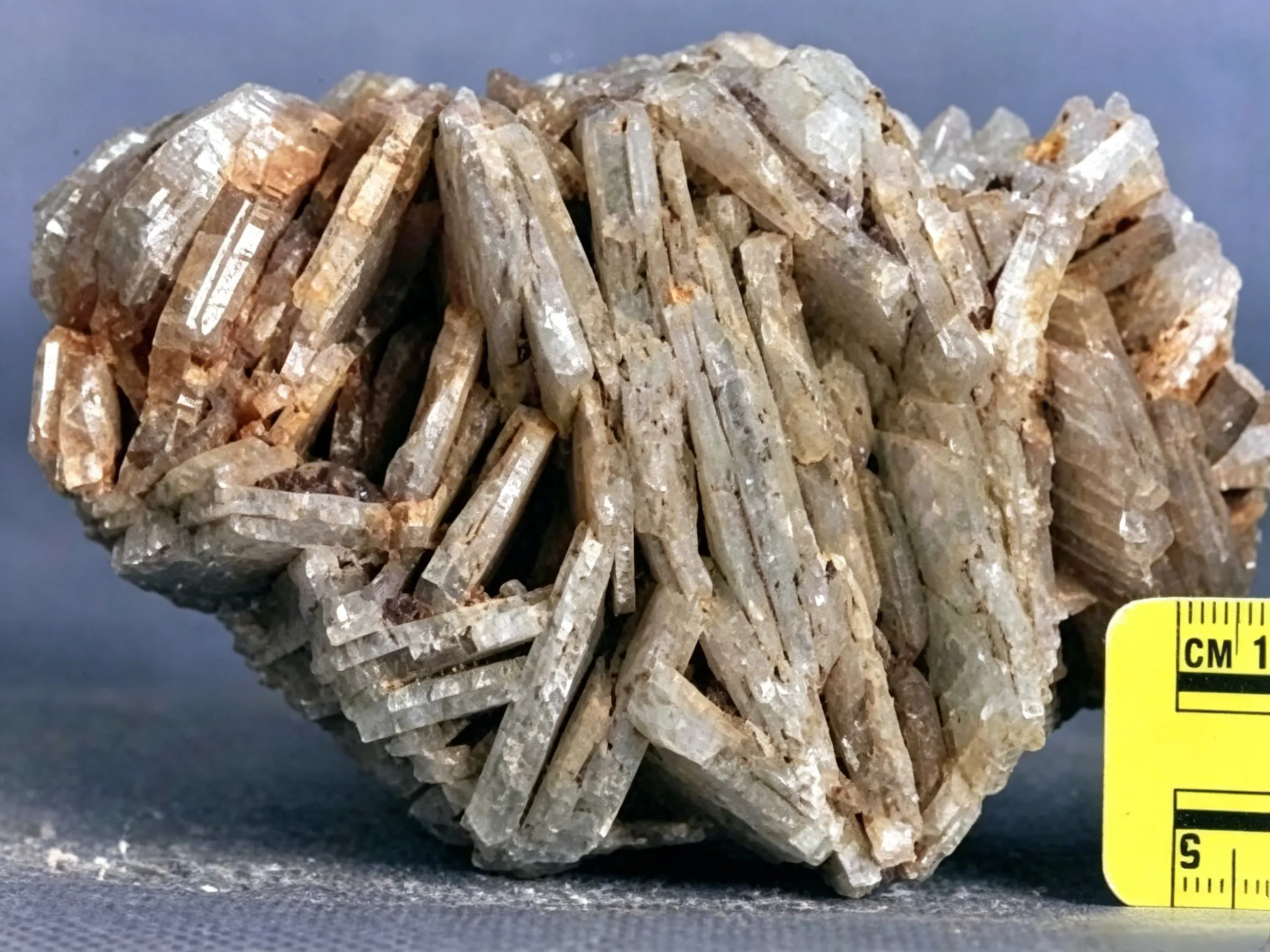 The types of Cleavelandite