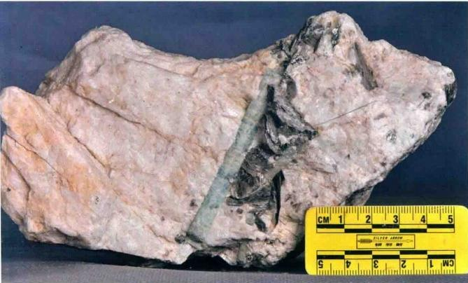 The types of Beryl