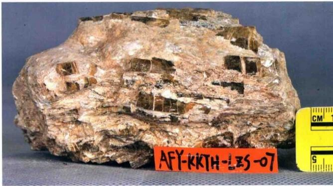 The types of Beryl