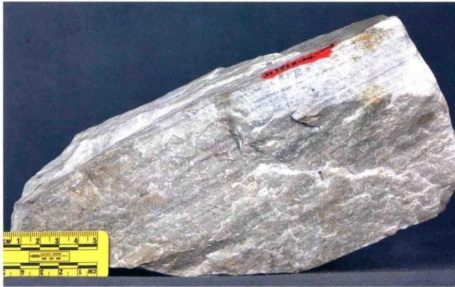 Tipos de mineral de fosfato y su ley