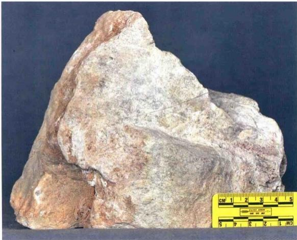 Tipos de mineral de fosfato y su ley