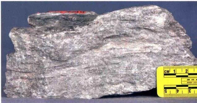Tipos de mineral de fosfato y su ley