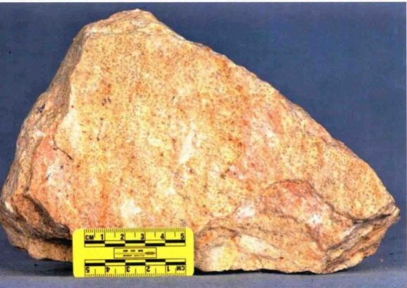 Tipos de mineral de fosfato y su ley