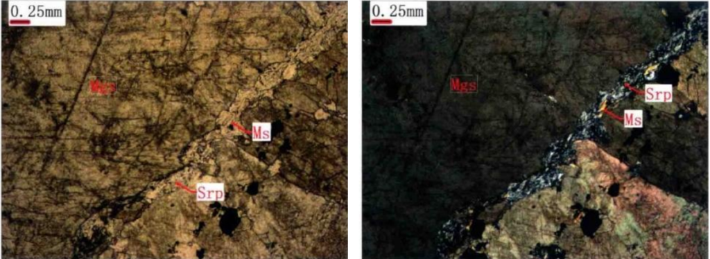 Aina na daraja tofauti za magnesite